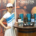 Exhibition Village (16)