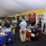 Exhibition Village (29)