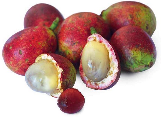 Manfaat Dan Khasiat Buah Matoa Bagi Kesehatan Tubuh