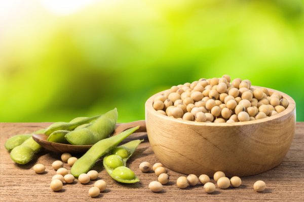 Khasiat Dari Kacang Kedelai Untuk Kesehatan